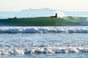 Rincon Grubb