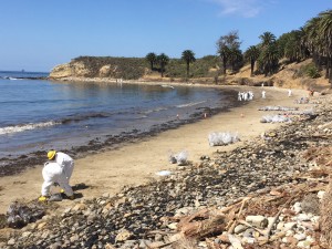 Workers cleaning up Refugio State Beach after the Plains All American Pipeline ruptured and more than 100,000 gallons of crude was spilled.