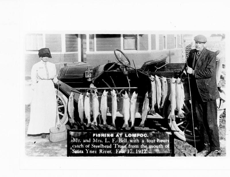 1912 photo of steelhead from the Santa Ynez River. Photo from the Lompoc Valley Historical Society