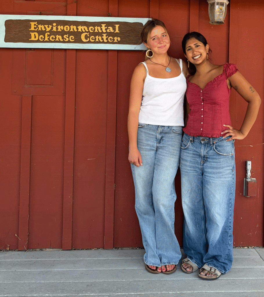 photo of two interns smiling